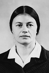 ���������� ���� �������������