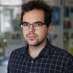 ������ ���� ����������