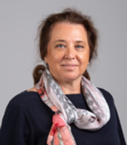 �������� ������� �����������